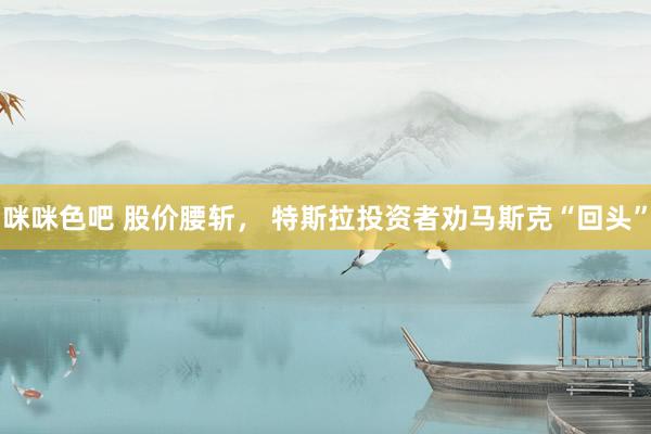 咪咪色吧 股价腰斩， 特斯拉投资者劝马斯克“回头”