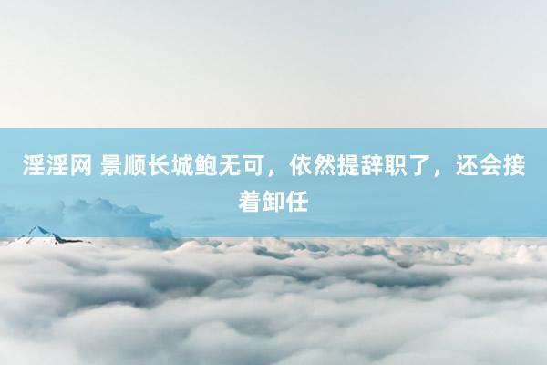 淫淫网 景顺长城鲍无可，依然提辞职了，还会接着卸任