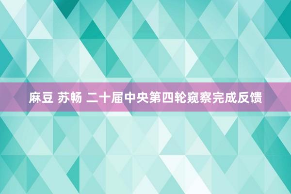 麻豆 苏畅 二十届中央第四轮窥察完成反馈