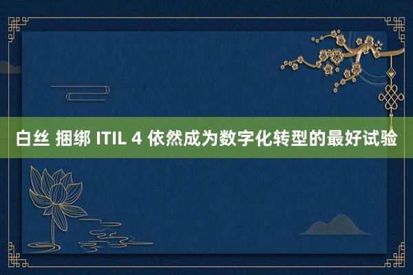 白丝 捆绑 ITIL 4 依然成为数字化转型的最好试验