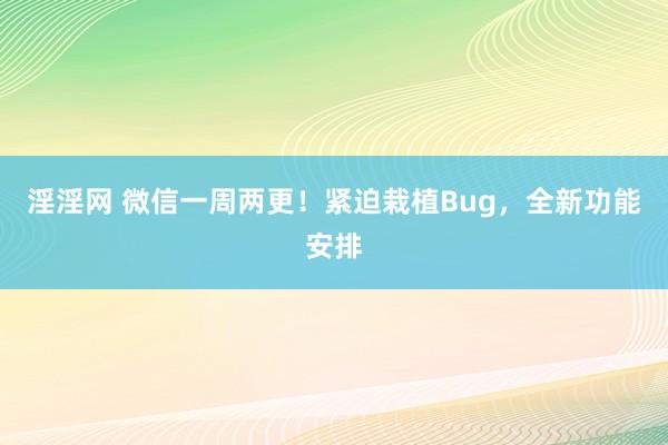 淫淫网 微信一周两更！紧迫栽植Bug，全新功能安排