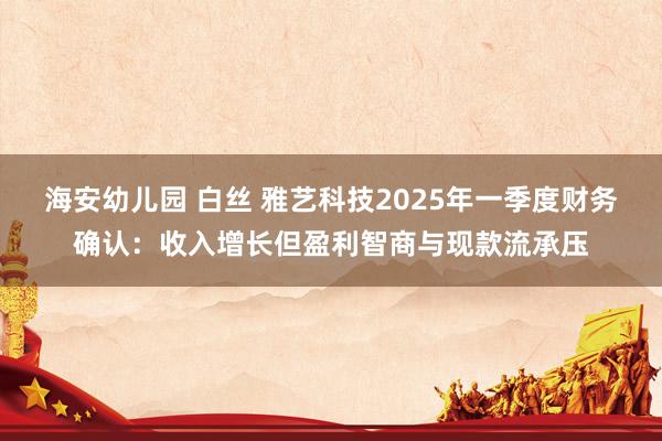 海安幼儿园 白丝 雅艺科技2025年一季度财务确认：收入增长但盈利智商与现款流承压